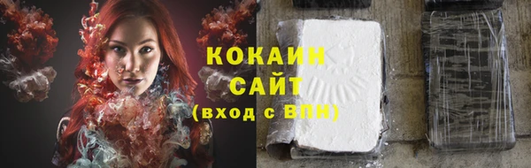 прущие грибы Баксан