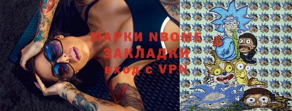 прущие грибы Баксан