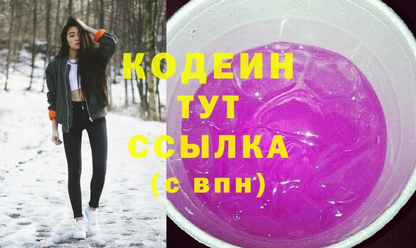 стаф Балахна