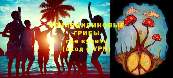 прущие грибы Баксан