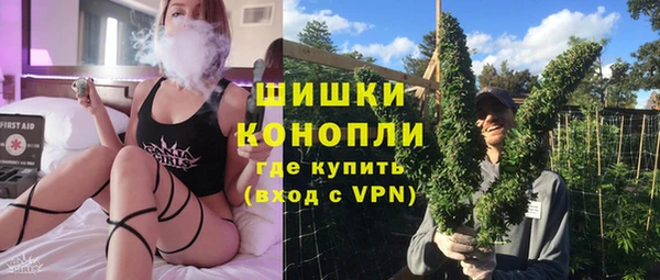 прущие грибы Баксан