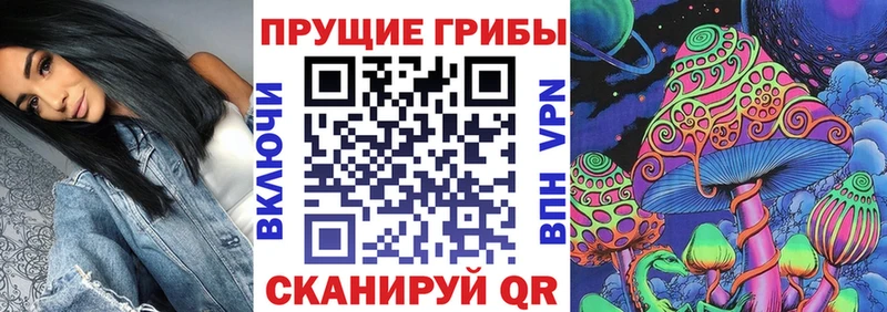продажа наркотиков Беломорск Псилоцибиновые грибы ЛСД